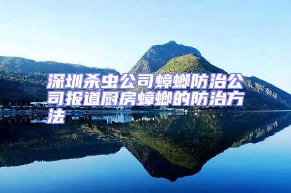 深圳殺蟲公司蟑螂防治公司報道廚房蟑螂的防治方法