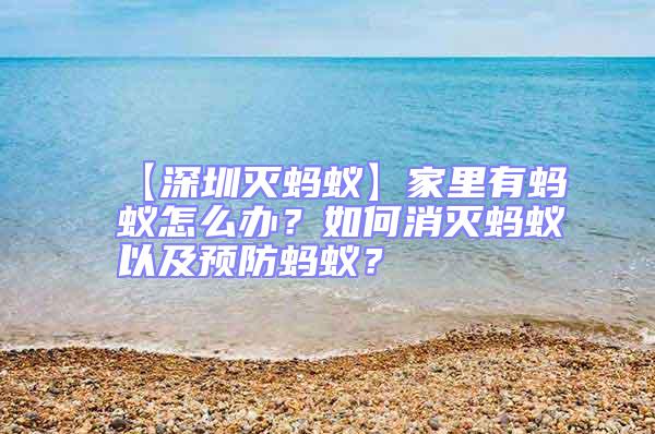 【深圳滅螞蟻】家里有螞蟻怎么辦？如何消滅螞蟻以及預防螞蟻？