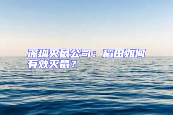 深圳滅鼠公司：稻田如何有效滅鼠？