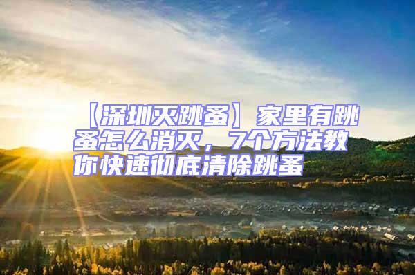 【深圳滅跳蚤】家里有跳蚤怎么消滅，7個方法教你快速徹底清除跳蚤