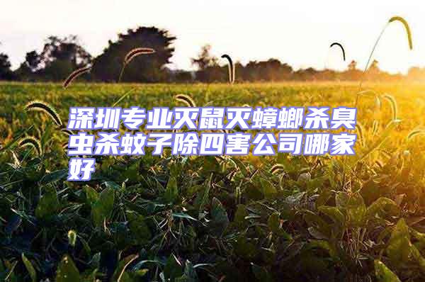 深圳專業(yè)滅鼠滅蟑螂殺臭蟲(chóng)殺蚊子除四害公司哪家好