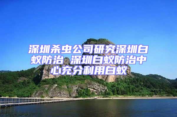 深圳殺蟲公司研究深圳白蟻防治 深圳白蟻防治中心充分利用白蟻