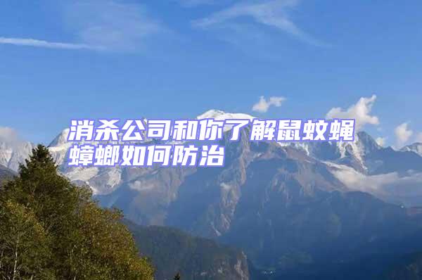 消殺公司和你了解鼠蚊蠅蟑螂如何防治