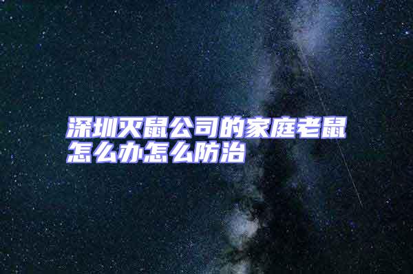 深圳滅鼠公司的家庭老鼠怎么辦怎么防治