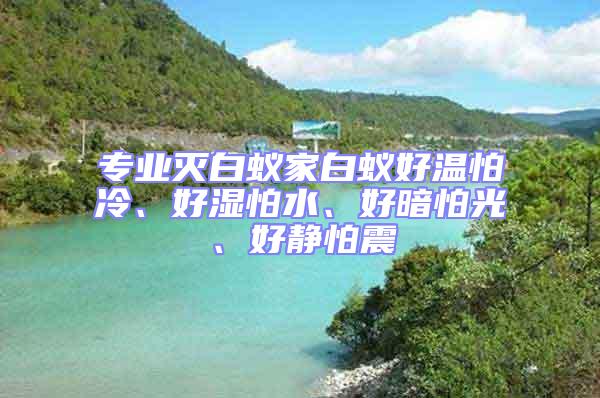 專業(yè)滅白蟻家白蟻好溫怕冷、好濕怕水、好暗怕光、好靜怕震