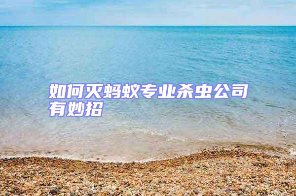 如何滅螞蟻專業(yè)殺蟲公司有妙招