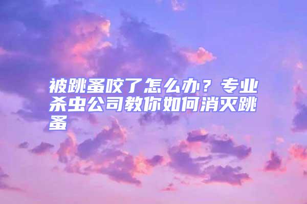 被跳蚤咬了怎么辦？專業(yè)殺蟲公司教你如何消滅跳蚤