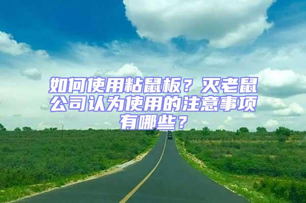 如何使用粘鼠板？滅老鼠公司認(rèn)為使用的注意事項(xiàng)有哪些？