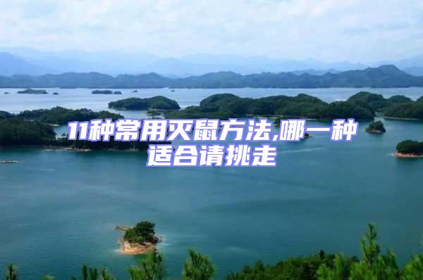 11種常用滅鼠方法,哪一種適合請(qǐng)?zhí)糇?/></p>
									<p style=