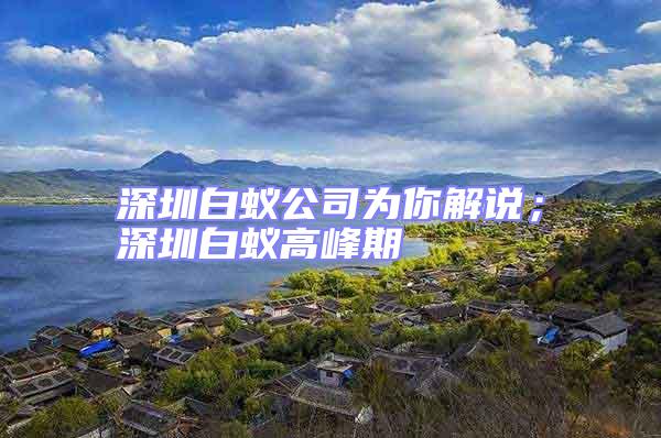 深圳白蟻公司為你解說；深圳白蟻高峰期