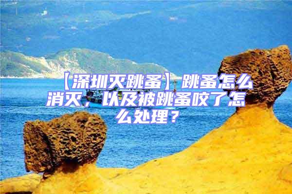 【深圳滅跳蚤】跳蚤怎么消滅，以及被跳蚤咬了怎么處理？