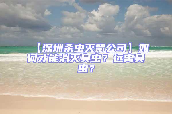 【深圳殺蟲滅鼠公司】如何才能消滅臭蟲？遠(yuǎn)離臭蟲？