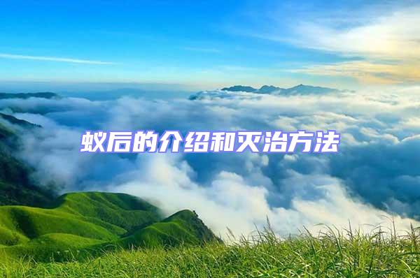 蟻后的介紹和滅治方法