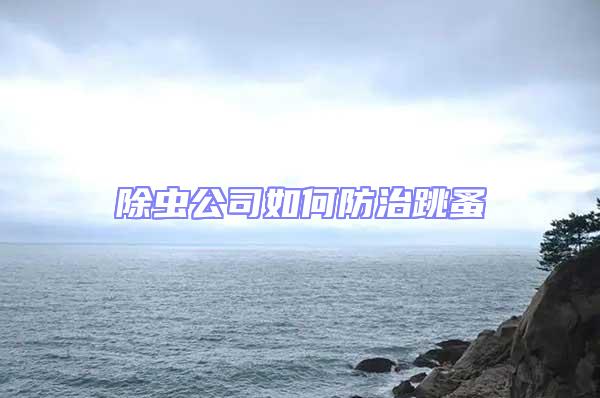 除蟲公司如何防治跳蚤