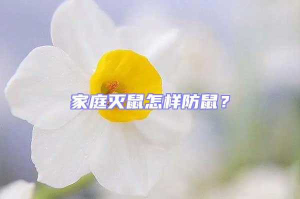 家庭滅鼠怎樣防鼠？