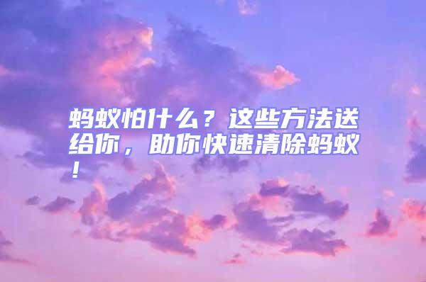 螞蟻怕什么？這些方法送給你，助你快速清除螞蟻！