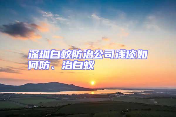 深圳白蟻防治公司淺談如何防、治白蟻