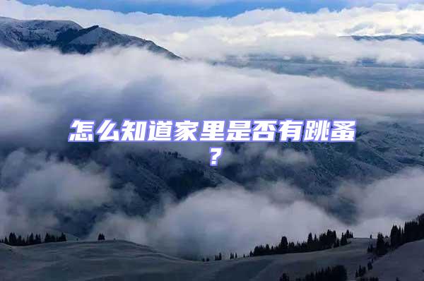 怎么知道家里是否有跳蚤？