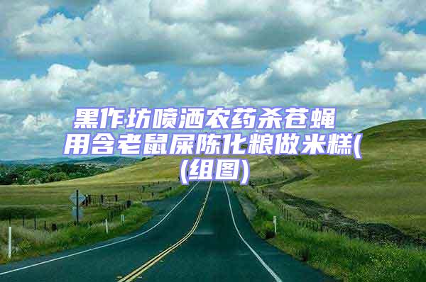 黑作坊噴灑農(nóng)藥殺蒼蠅 用含老鼠屎陳化糧做米糕((組圖)