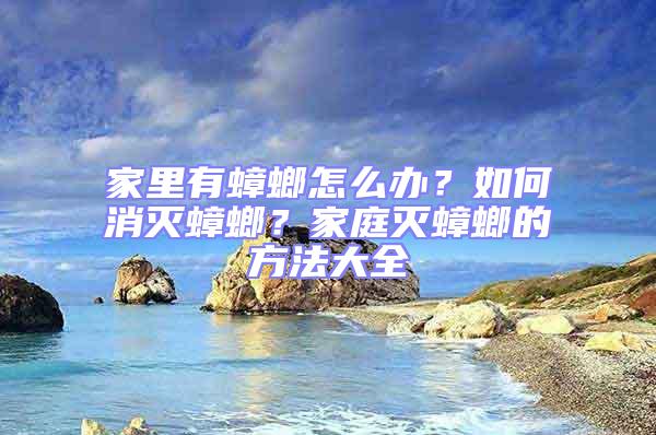 家里有蟑螂怎么辦？如何消滅蟑螂？家庭滅蟑螂的方法大全