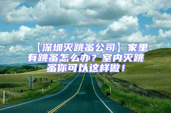 【深圳滅跳蚤公司】家里有跳蚤怎么辦？室內(nèi)滅跳蚤你可以這樣做！