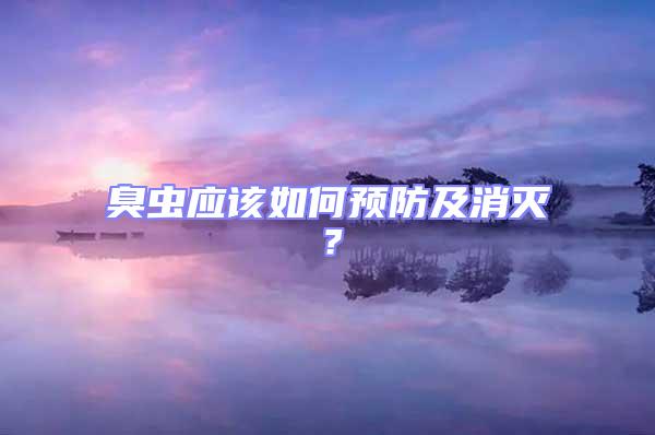 臭蟲應(yīng)該如何預(yù)防及消滅？