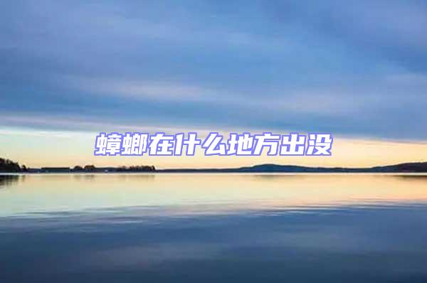 蟑螂在什么地方出沒