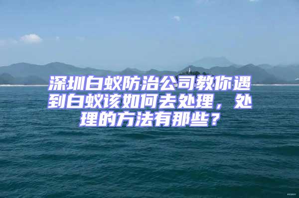 深圳白蟻防治公司教你遇到白蟻該如何去處理，處理的方法有那些？