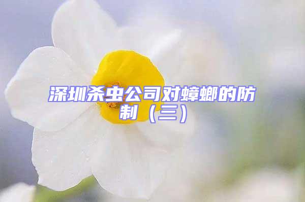 深圳殺蟲公司對(duì)蟑螂的防制（三）