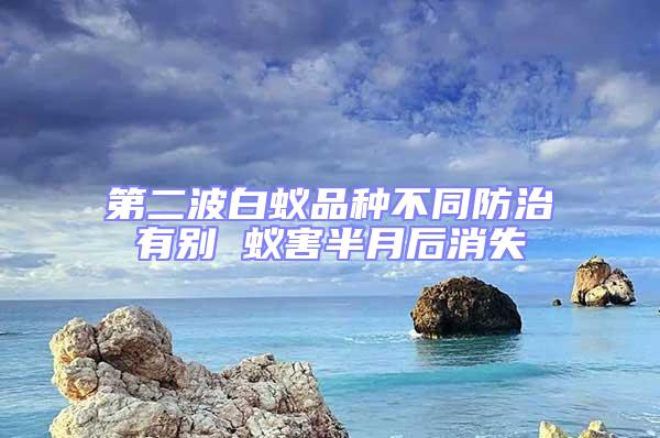 第二波白蟻品種不同防治有別 蟻害半月后消失