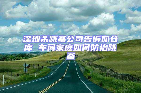 深圳殺跳蚤公司告訴你倉庫 車間家庭如何防治跳蚤