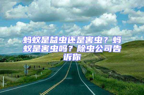 螞蟻是益蟲還是害蟲？螞蟻是害蟲嗎？除蟲公司告訴你