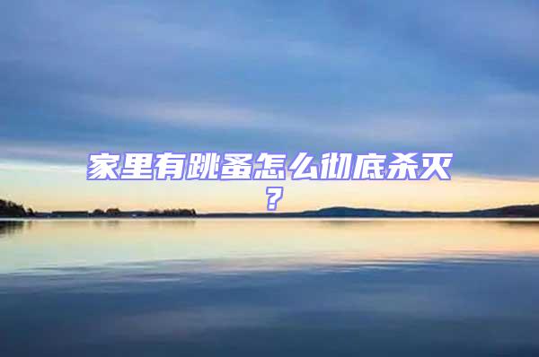 家里有跳蚤怎么徹底殺滅？