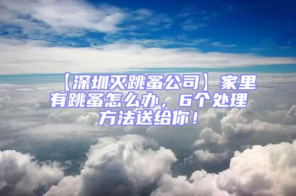 【深圳滅跳蚤公司】家里有跳蚤怎么辦，6個處理方法送給你！