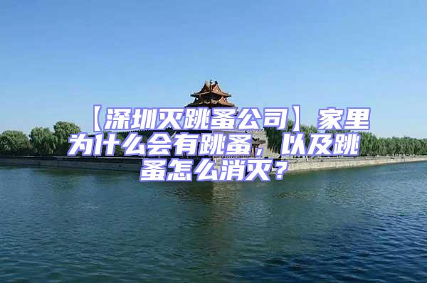 【深圳滅跳蚤公司】家里為什么會(huì)有跳蚤，以及跳蚤怎么消滅？