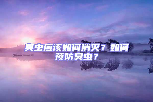 臭蟲(chóng)應(yīng)該如何消滅？如何預(yù)防臭蟲(chóng)？