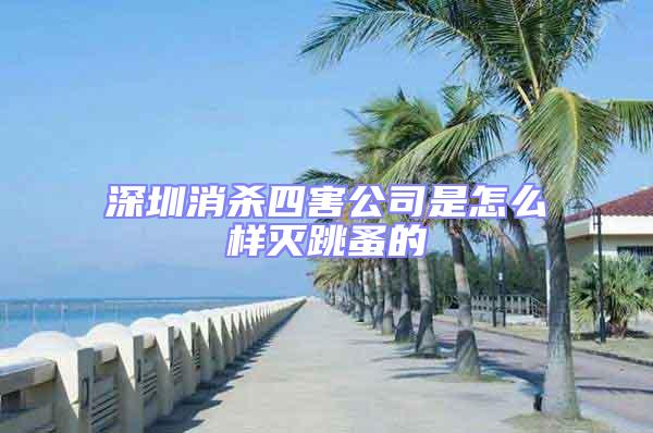 深圳消殺四害公司是怎么樣滅跳蚤的