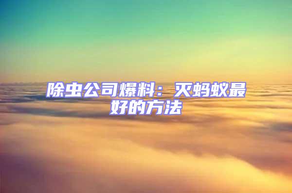 除蟲公司爆料：滅螞蟻?zhàn)詈玫姆椒?/></p>
									<p>　　家里發(fā)明了多少只螞蟻，此時(shí)你家的螞蟻數(shù)量可能超乎你的設(shè)想了，假如你僅僅是把看到的螞蟻滅殺，問題基本得不到解決，隨后的一些天你仍然會看到很多的螞蟻爬來爬去。那么問題就來了，滅螞蟻?zhàn)詈玫姆椒ㄊ鞘裁矗?/p>
<p style=