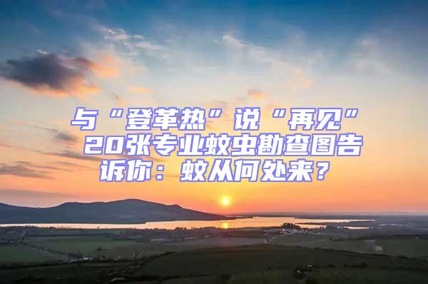 與“登革熱”說(shuō)“再見(jiàn)” 20張專業(yè)蚊蟲(chóng)勘查圖告訴你：蚊從何處來(lái)？