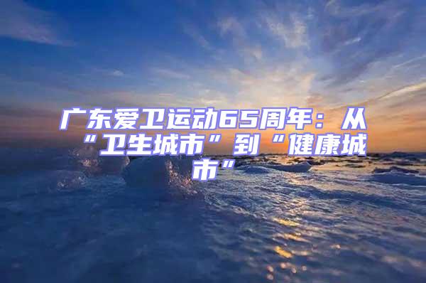 廣東愛(ài)衛(wèi)運(yùn)動(dòng)65周年：從“衛(wèi)生城市”到“健康城市”