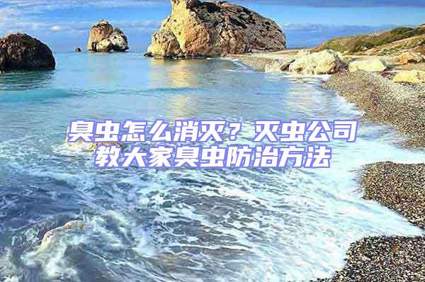 臭蟲(chóng)怎么消滅？滅蟲(chóng)公司教大家臭蟲(chóng)防治方法