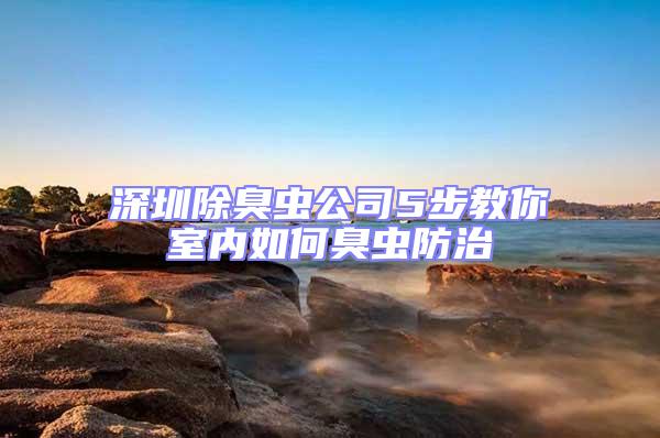 深圳除臭蟲公司5步教你室內(nèi)如何臭蟲防治