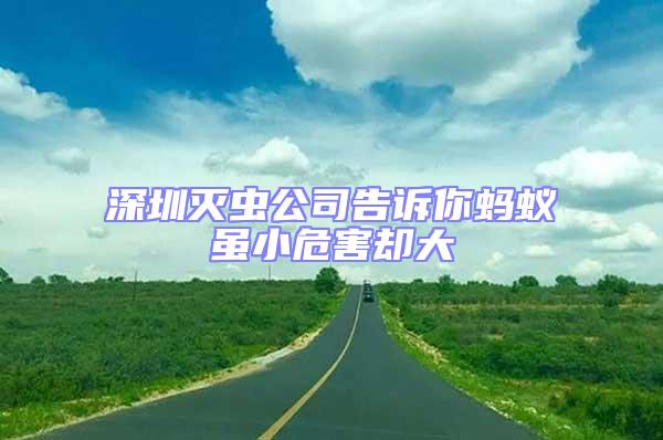 深圳滅蟲公司告訴你螞蟻雖小危害卻大