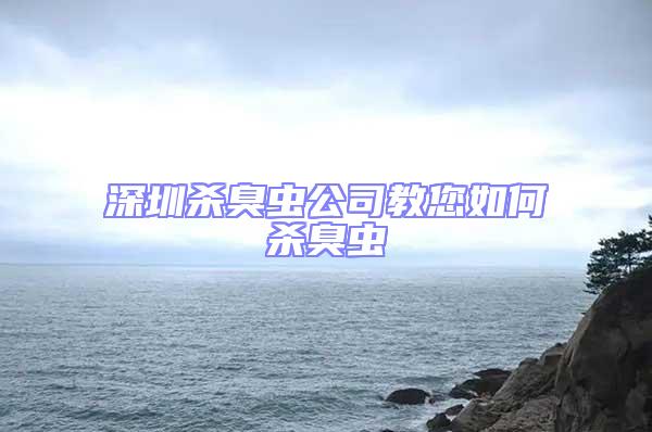 深圳殺臭蟲公司教您如何殺臭蟲