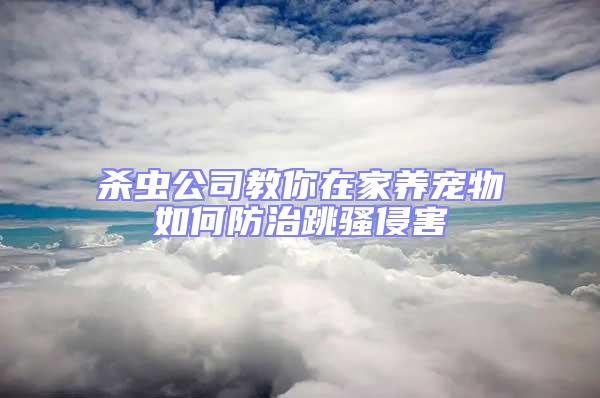 殺蟲公司教你在家養(yǎng)寵物如何防治跳騷侵害