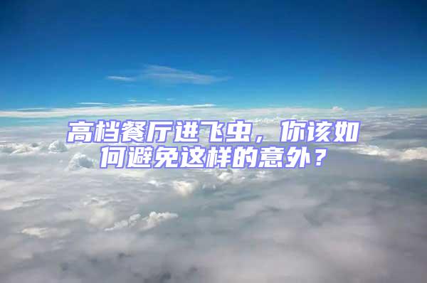 高檔餐廳進飛蟲，你該如何避免這樣的意外？