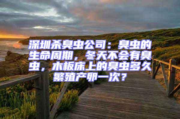 深圳殺臭蟲公司：臭蟲的生命周期，冬天不會(huì)有臭蟲，木板床上的臭蟲多久繁殖產(chǎn)卵一次？