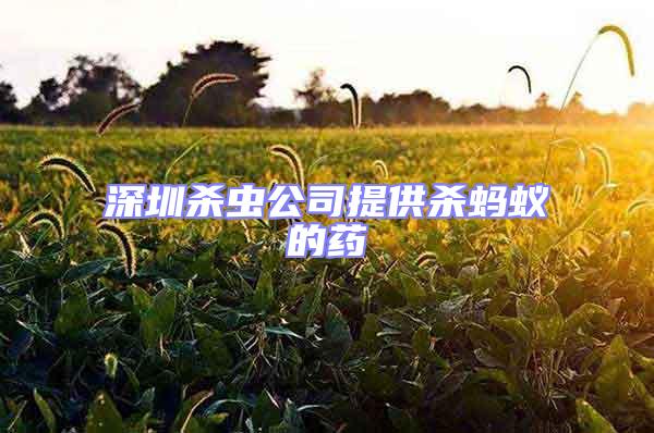 深圳殺蟲(chóng)公司提供殺螞蟻的藥