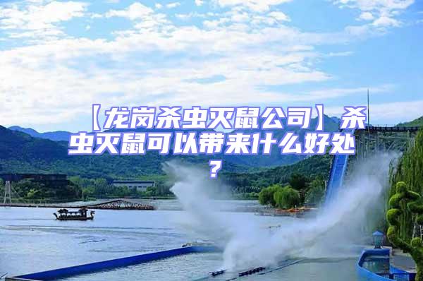 【龍崗殺蟲滅鼠公司】殺蟲滅鼠可以帶來什么好處？