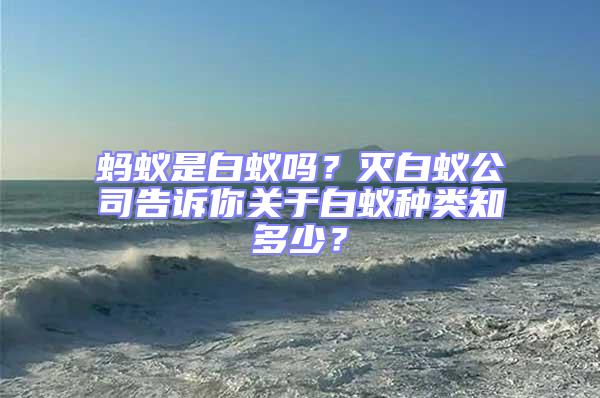 螞蟻是白蟻嗎？滅白蟻公司告訴你關于白蟻種類知多少？